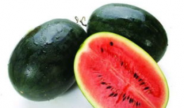 瓶子吃瓜爆料怎么做,揭秘“瓶子吃瓜”爆料背后的真相与影响