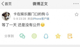 吃瓜爆料的小说有哪些,揭秘那些小说中的幕后故事